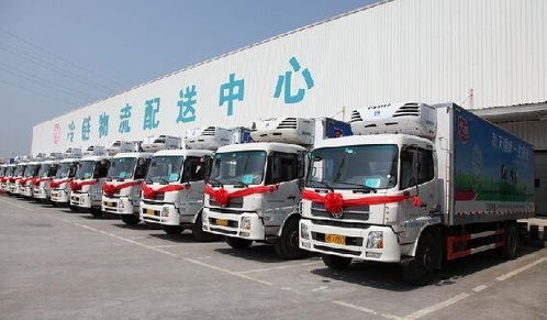 成都到石家莊私家車運輸公司，提供免費上門取車服務